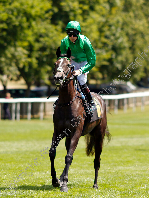 Running-Lion 
 RUNNING LION (Robert Havlin) 
Newmarket 9 Jul 2022 - Pic Steven Cargill / Racingfotos.com