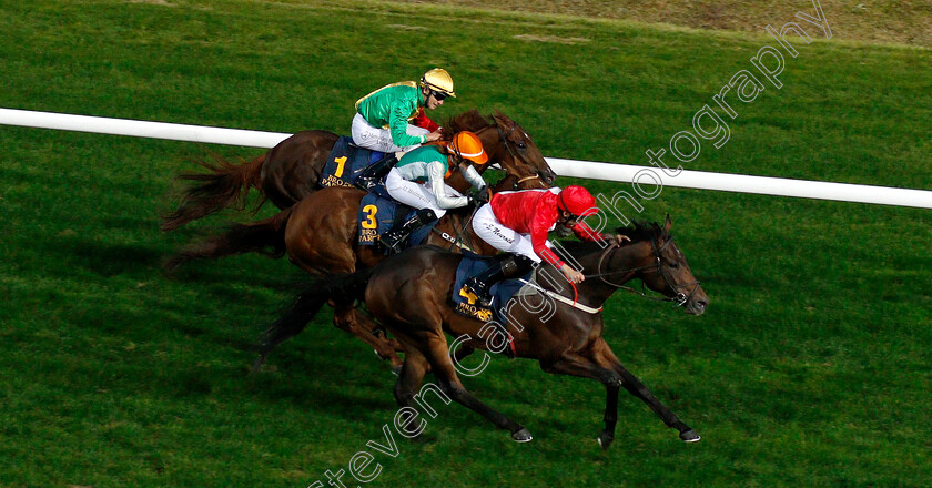 Dardenne-0002 
 DARDENNE (Jan Erik Neuroth) wins The Breeders Trophy Sprint
Bro Park, Sweden 21 Sep 2018 - Pic Steven Cargill / Racingfotos.com