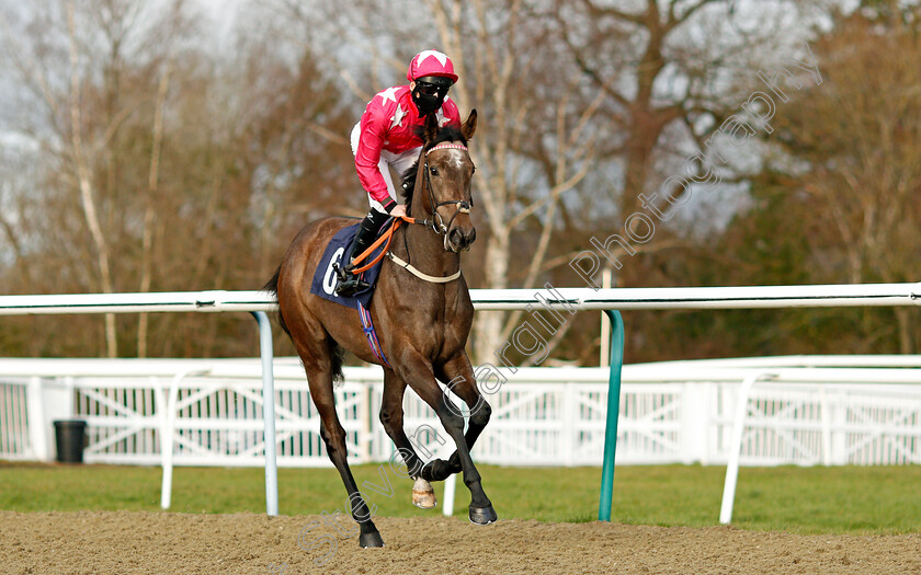 Sand-In-My-Shoes-0001 
 SAND IN MY SHOES (Thomas Greatrex)
Lingfield 29 Jan 2021 - Pic Steven Cargill / Racingfotos.com