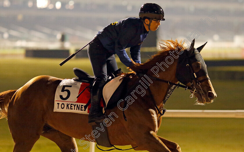 T-O-Keynes-0001 
 T O KEYNES training for the Dubai World Cup
Meydan, Dubai, 21 Mar 2023 - Pic Steven Cargill / Racingfotos.com