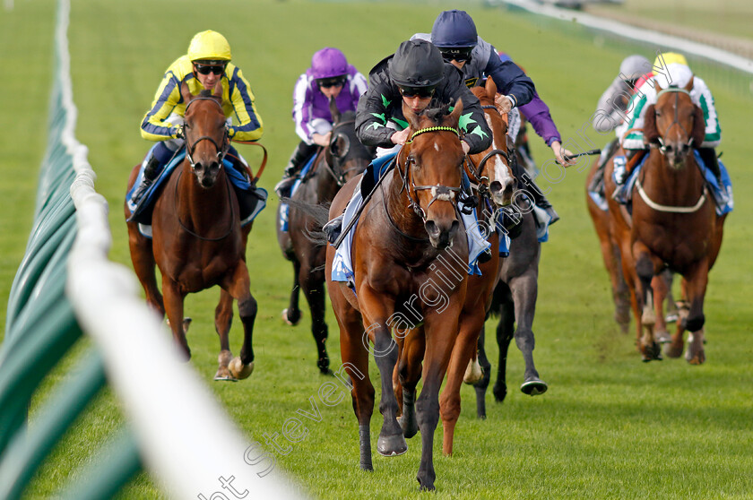 Inquisitively-0004 
 INQUISITIVELY (William Buick) wins The Newmarket Academy Godolphin Beacon Project Cornwallis Stakes
Newmarket 13 Oct 2023 - Pic Steven Cargill / Racingfotos.com