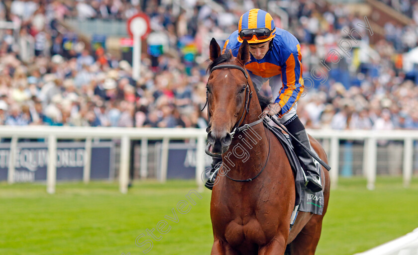 Paddington-0001 
 PADDINGTON (Ryan Moore)
York 23 Aug 2023 - Pic Steven Cargill / Racingfotos.com