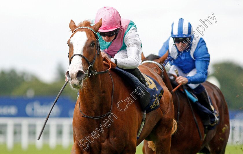 Herculean-0007 
 HERCULEAN (Ryan Moore) wins The Charbonnel Et Walker British EBF Maiden Stakes Ascot 8 Sep 2017 - Pic Steven Cargill / Racingfotos.com