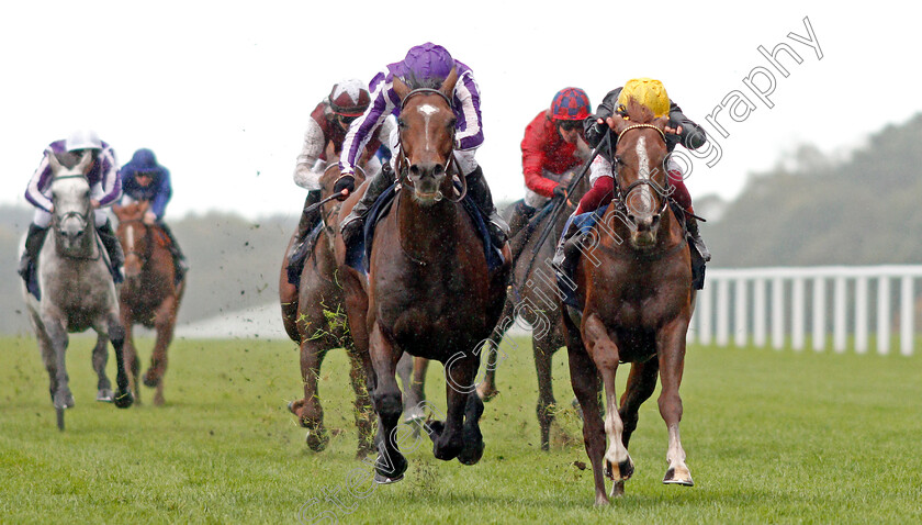 Kew-Gardens-0003 
 KEW GARDENS (left, Donnacha O'Brien) beats STRADIVARIUS (right) in The Qipco British Champions Long Distance Cup
Ascot 19 Oct 2019 - Pic Steven Cargill / Racingfotos.com