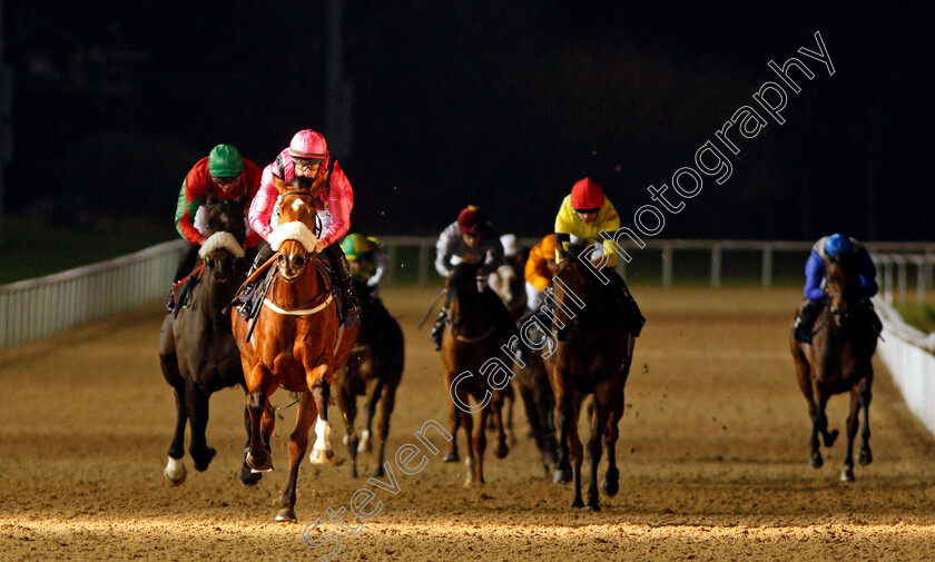 Loving-Glance-0003 
 LOVING GLANCE (Richard Kingscote) wins The Bombardier British Hopped Amber Beer Novice Stakes
Chelmsford 26 Nov 2019 - Pic Steven Cargill / Racingfotos.com