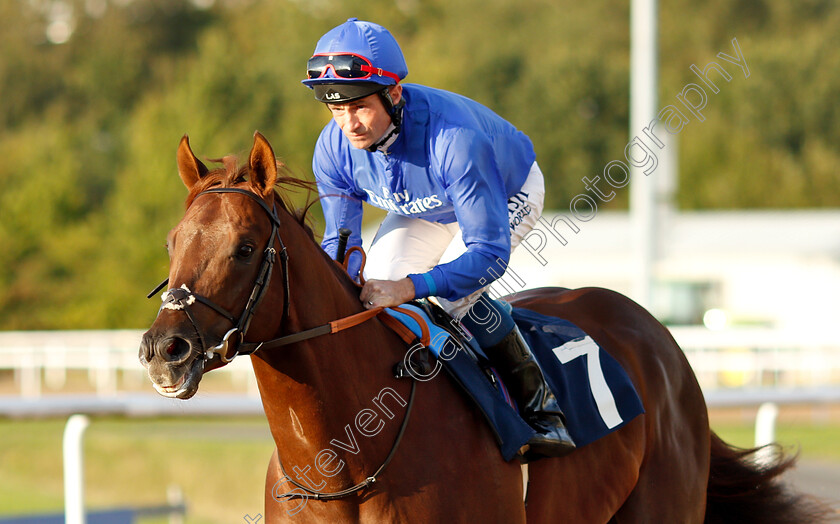 Madkhal-0001 
 MADKHAL (Dane O'Neill)
Wolverhampton 5 Sep 2018 - Pic Steven Cargill / Racingfotos.com