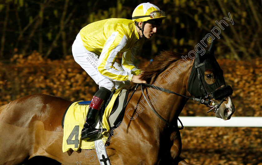 Dubai-Metro-0001 
 DUBAI METRO (George Wood)
Kempton 16 Jan 2019 - Pic Steven Cargill / Racingfotos.com