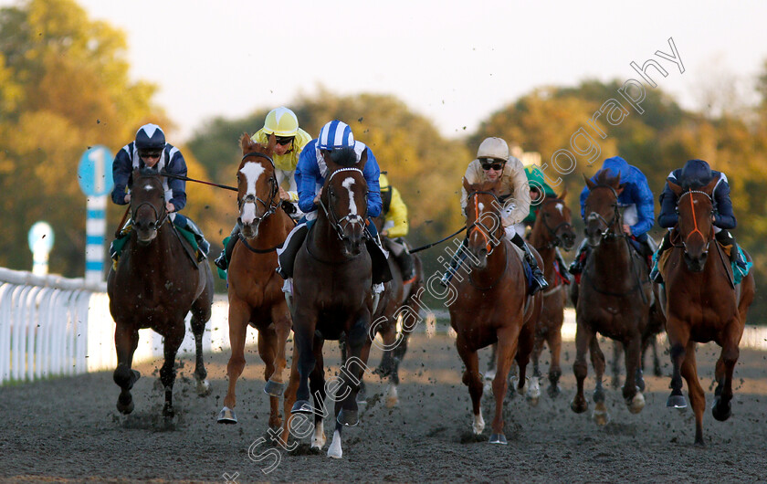 Alfarqad-0002 
 ALFARQAD (centre, Dane O'Neill) wins The 100% Profit Boost At 32Redsport.com Novice Stakes Div1
Kempton 27 Sep 2018 - Pic Steven Cargill / Racingfotos.com