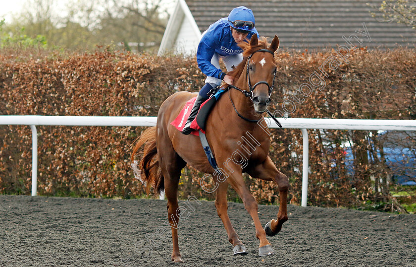 Notable-Speech-0004 
 NOTABLE SPEECH (William Buick) winner of The Virgin Bet Best Odds Daily British EBF Conditions Stakes
Kempton 6 Apr 2024 - Pic Steven Cargill / Racingfotos.com