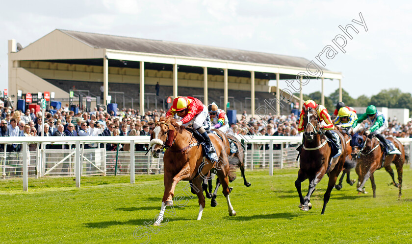 Gale-Force-Maya-0001 
 GALE FORCE MAYA (Connor Beasley) wins The British EBF Supporting Racing With Pride Fillies Handicap
York 10 Jun 2022 - Pic Steven Cargill / Racingfotos.com