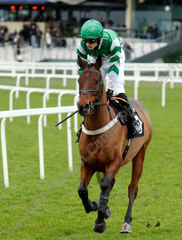 Golden-Cosmos-0001 
 GOLDEN COSMOS (Luke Scott)
Ascot 21 Dec 2024 - Pic Steven Cargill / Racingfotos.com