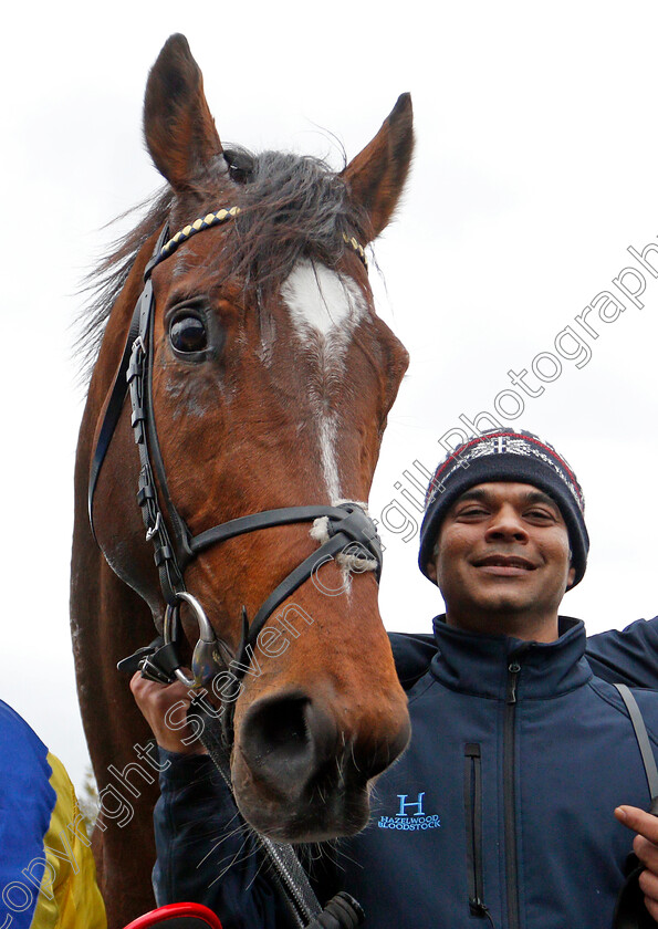 Dubai-Warrior-0017 
 DUBAI WARRIOR after The Betway Winter Derby 
Lingfield 22 Feb 2020 - Pic Steven Cargill / Racingfotos.com