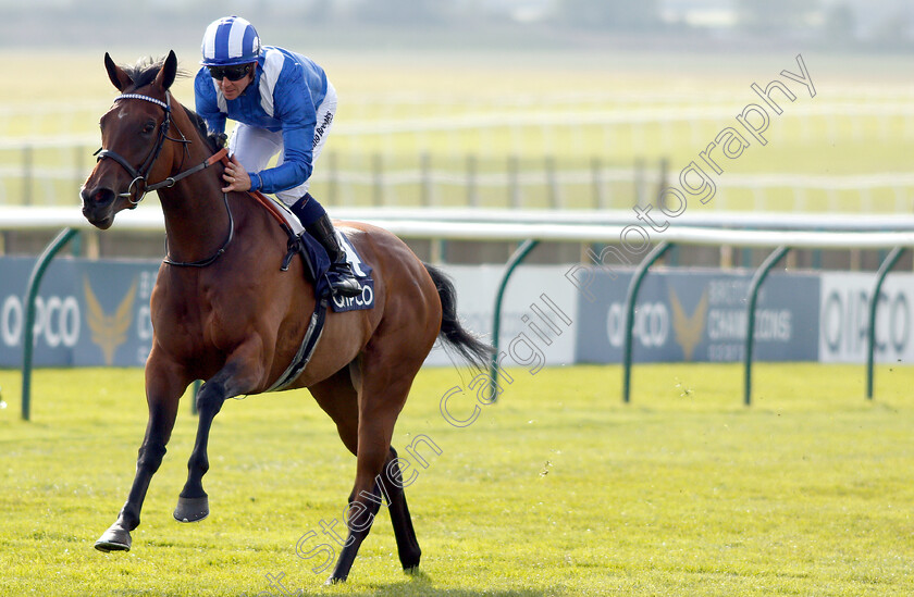 Maqsad-0006 
 MAQSAD (Jim Crowley) wins The Tweenhills Pretty Polly Stakes
Newmarket 5 May 2019 - Pic Steven Cargill / Racingfotos.com