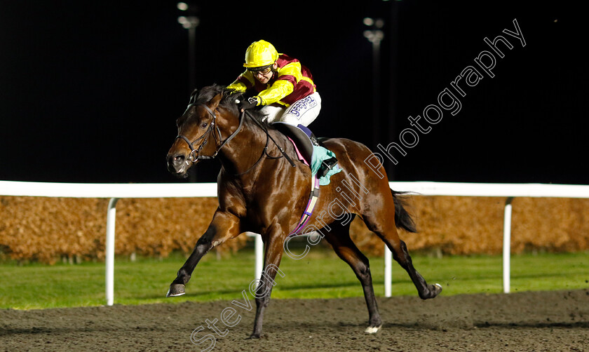 Molveno-0001 
 MOLVENO (Marco Ghiani) wins The British Stallion Studs EBF Restricted Novice Stakes
Kempton 11 Dec 2024 - Pic Steven Cargill / Racingfotos.com