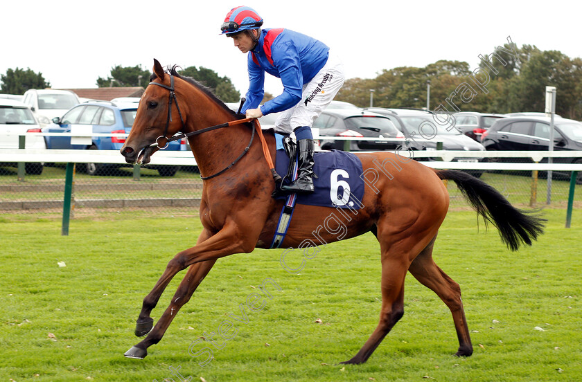 King s-Girl-0001 
 KING'S GIRL (Jim Crowley)
Yarmouth 20 Sep 2018 - Pic Steven Cargill / Racingfotos.com