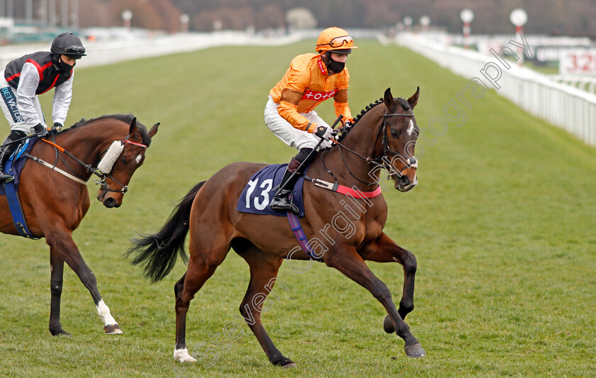 Viaduct-0001 
 VIADUCT (Jonathan Fisher)
Doncaster 28 Mar 2021 - Pic Steven Cargill / Racingfotos.com