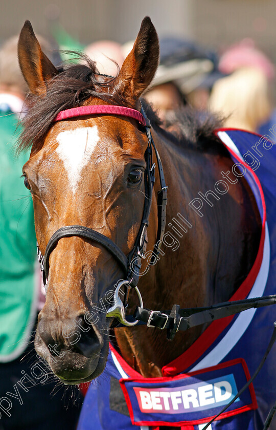 Soul-Sister-0019 
 SOUL SISTER winner of The Betfred Oaks 
Epsom 2 Jun 2023 - pic Steven Cargill / Racingfotos.com