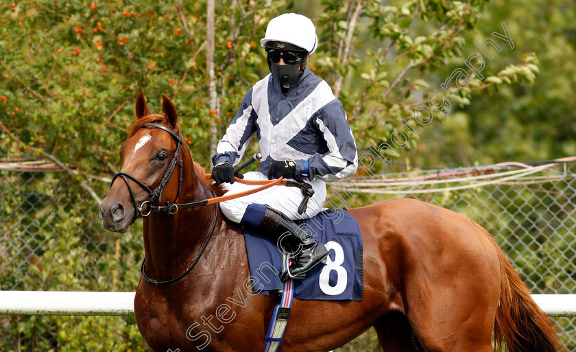 Law-Of-One-0003 
 LAW OF ONE (Jim Crowley)
Lingfield 2 Sep 2020 - Pic Steven Cargill / Racingfotos.com