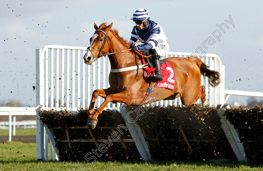 Celtic-Dino-0002 
 CELTIC DINO (Dylan Johnston)
Kempton 22 Feb 2025 - Pic Steven Cargill / Racingfotos.com