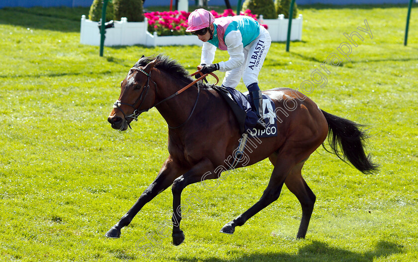 Equilateral-0001 
 EQUILATERAL (Oisin Murphy)
Newmarket 4 May 2019 - Pic Steven Cargill / Racingfotos.com