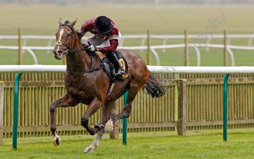 Wonder-Kid-0004 
 WONDER KID (Harry Davies) wins The Graham Budd Horseracing Memorabilia Handicap
Newmarket 26 Sep 2024 - Pic Steven Cargill / Racingfotos.com