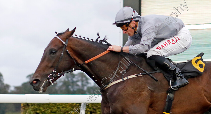 Night-Raider-0005 
 NIGHT RAIDER (Tom Marquand) wins The ebfstallions.com Conditions Stakes
Kempton 2 Oct 2024 - Pic Steven Cargill / Racingfotos.com