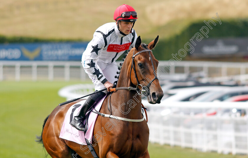 Honey-Sweet 
 HONEY SWEET (Clifford Lee)
Goodwood 27 Jul 2022 - Pic Steven Cargill / Racingfotos.com