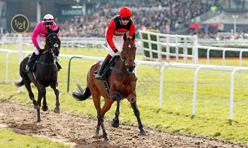 Sam-Brown-0001 
 SAM BROWN (Aidan Coleman) winner of The Betway Handicap Chase
Aintree 9 Apr 2022 - Pic Steven Cargill / Racingfotos.com