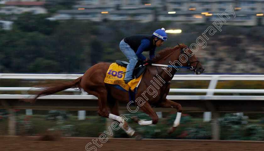 Gun-Runner-0001 
 GUN RUNNER working at Del Mar USA in preparation for The Breeders' Cup Classic 30 Oct 2017 - Pic Steven Cargill / Racingfotos.com