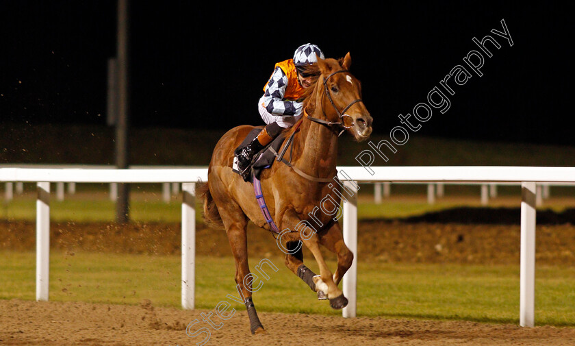 Ceyhan-0002 
 CEYHAN (Dougie Costello) wins The Bet toteWIN At Betfred.com Handicap Div1 Chelmsford 7 Dec 2017 - Pic Steven Cargill / Racingfotos.com