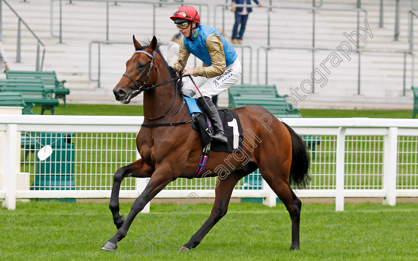 Diego-Ventura-0008 
 DIEGO VENTURA (James Doyle) winner of The Juddmonte British EBF Restricted Novice Stakes
Ascot 6 Sep 2024 - Pic Steven Cargill / Racingfotos.com