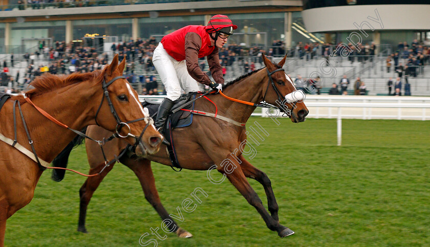 Marinero-0003 
 MARINERO (David Maxwell) wins The Colts & Fillies Club Open Hunters Chase Ascot 25 Mar 2018 - Pic Steven Cargill / Racingfotos.com