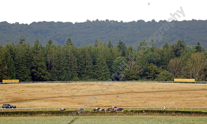 Forest-Falcon-0001 
 The field race through the first furlong of The Coral Chesterfield Cup Handicap
Goodwood 26 Jul 2022 - Pic Steven Cargill / Racingfotos.com