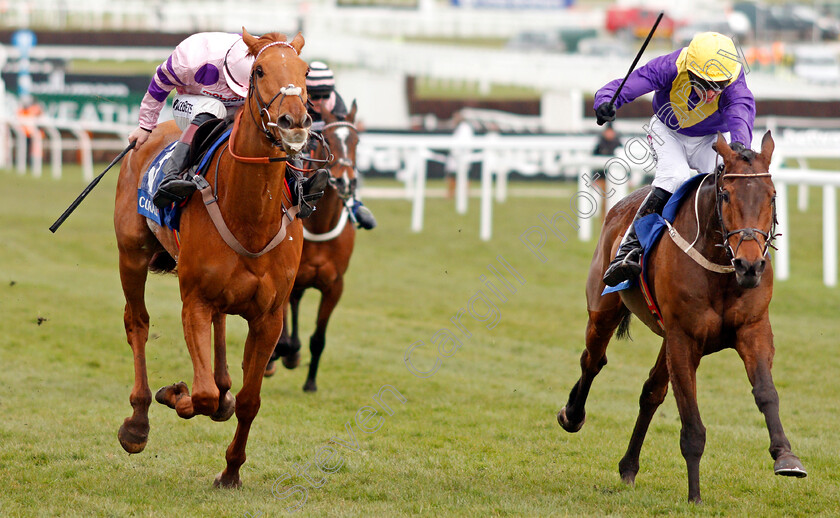 Bleu-Berry-0004 
 BLEU BERRY (right, Mark Walsh) beats TOPOFTHEGAME (left) in The Coral Cup Cheltenham 14 Mar 2018 - Pic Steven Cargill / Racingfotos.com