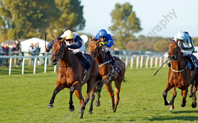 At-Liberty-0004 
 AT LIBERTY (Ryan Moore) wins The Cazoo Search Drive Smile Handicap
Yarmouth 18 Oct 2022 - Pic Steven Cargill / Racingfotos.com