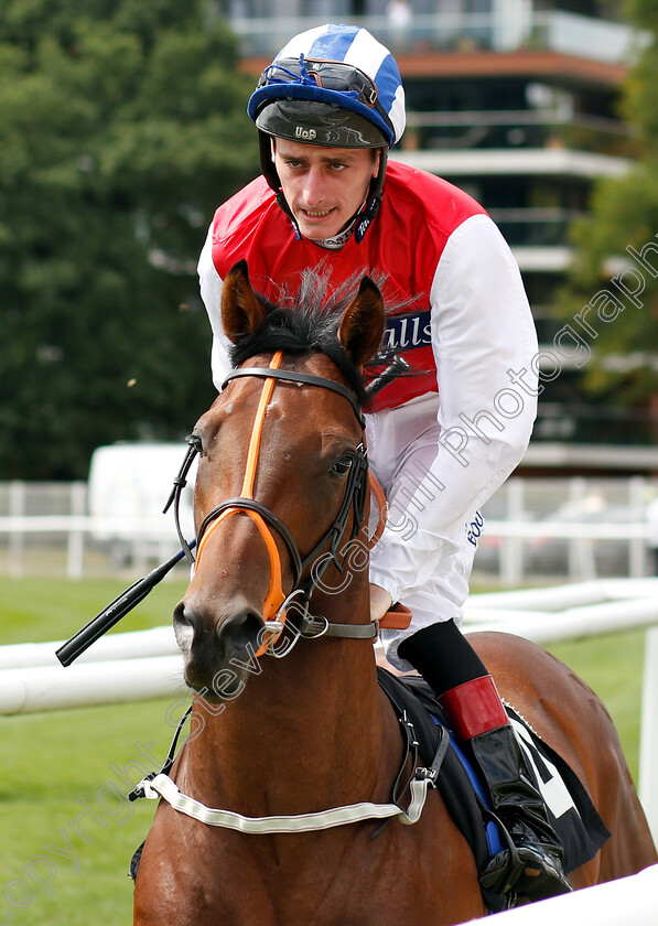 Cloak-And-Dagger-0001 
 CLOAK AND DAGGER (Adam Kirby)
Newbury 17 Aug 2018 - Pic Steven Cargill / Racingfotos.com