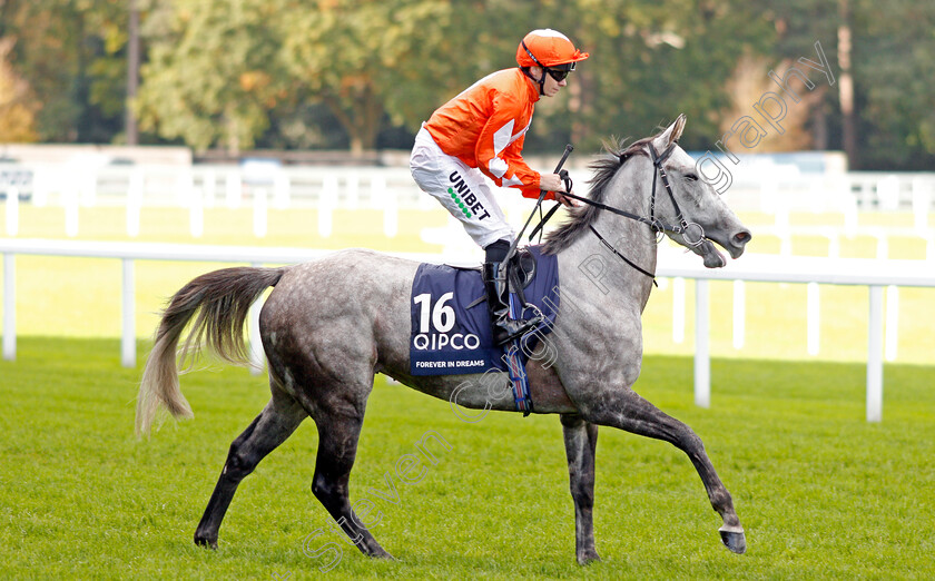 Forever-In-Dreams-0002 
 FOREVER IN DREAMS (Jamie Spencer)
Ascot 19 Oct 2019 - Pic Steven Cargill / Racingfotos.com