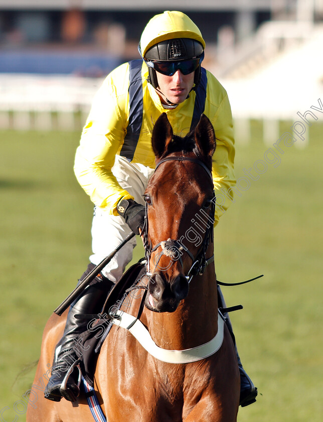 Beaufort-West-0001 
 BEAUFORT WEST (Robbie Power)
Newbury 30 Nov 2018 - Pic Steven Cargill / Racingfotos.com