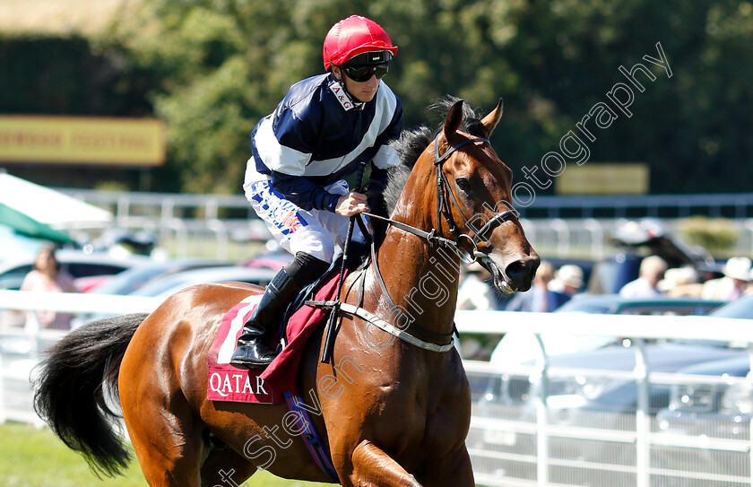 Sabre-0001 
 SABRE (Paul Hanagan)
Goodwood 2 Aug 2018 - Pic Steven Cargill / Racingfotos.com