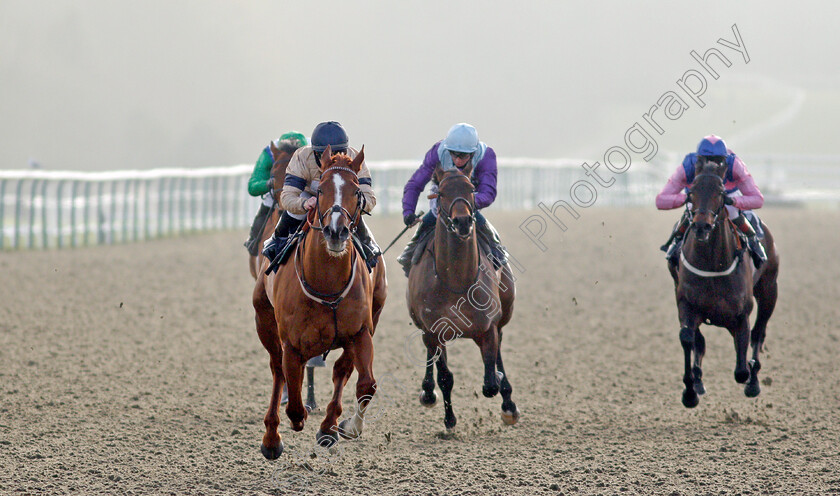 Going-Places-0004 
 GOING PLACES (Hollie Doyle) wins The Bombardier March To Your Own Drum Novice Stakes
Lingfield 9 Jan 2021 - Pic Steven Cargill / Racingfotos.com