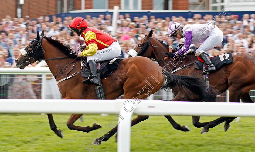 Gas-Monkey-0005 
 GAS MONKEY (Sarah Bowen) wins The Racing TV Handicap
Newbury 17 Aug 2019 - Pic Steven Cargill / Racingfotos.com