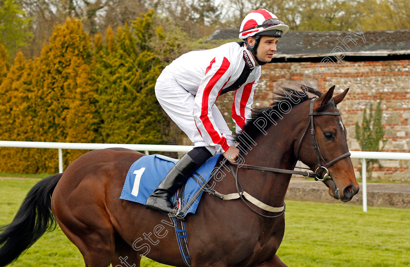 Arcadian-Rocks-0001 
 ARCADIAN ROCKS (Charles Bishop) Salisbury 30 Apr 2018 - Pic Steven Cargill / Racingfotos.com