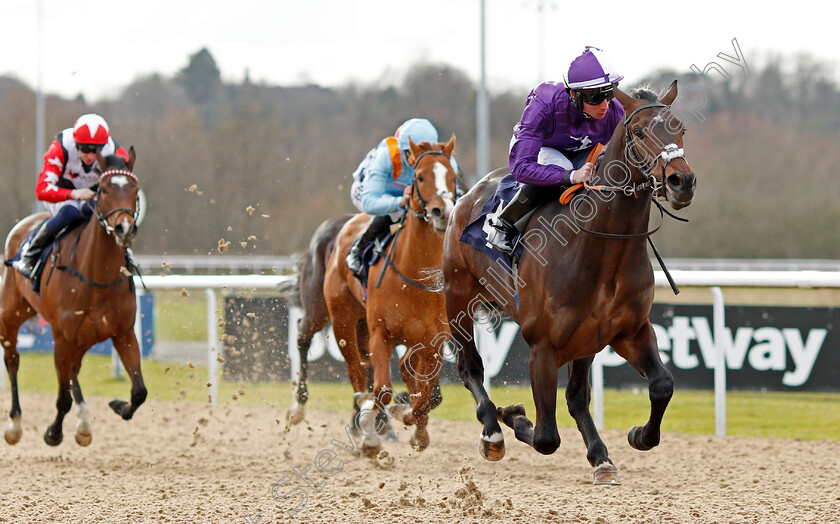 Dayman-0004 
 DAYMAN (Rossa Ryan) wins The Mansionbet Beaten By A Head Novice Stakes
Wolverhampton 12 Mar 2022 - Pic Steven Cargill / Racingfotos.com