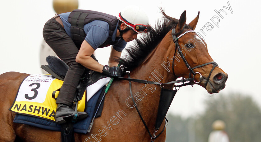 Nashwa-0003 
 NASHWA training for the Dubai Turf
Meydan Dubai 26 Mar 2024 - Pic Steven Cargill / Racingfotos.com