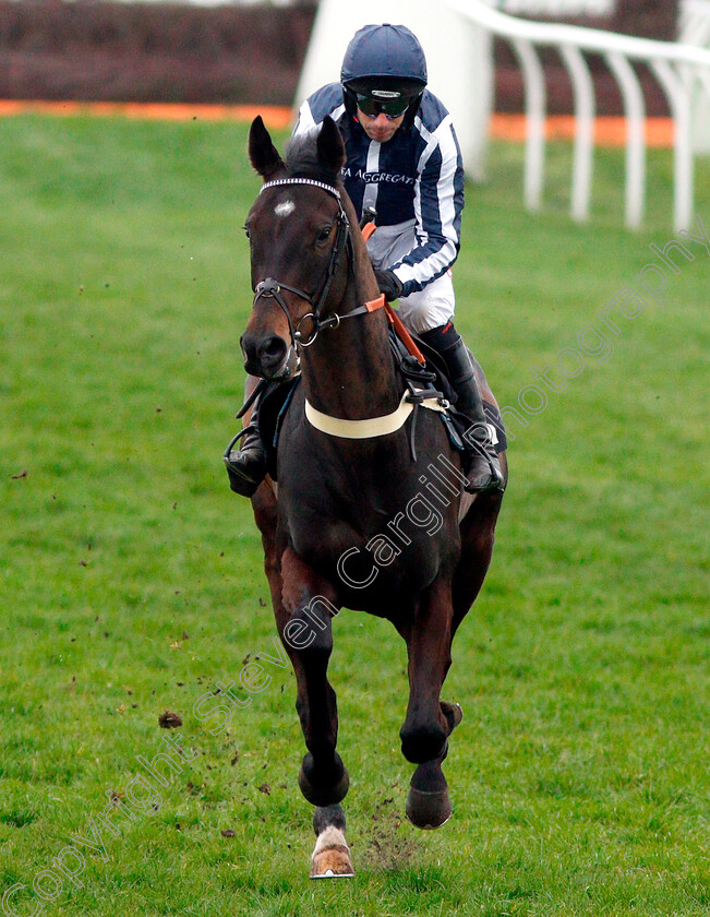 Nobby-0002 
 NOBBY (Wayne Hutchinson)
Newbury 22 Mar 2019 - Pic Steven Cargill / Racingfotos.com