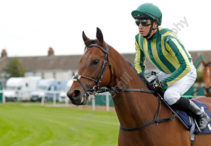 Vespasian-0001 
 VESPASIAN (James Doyle)
Yarmouth 19 Sep 2023 - Pic Steven Cargill / Racingfotos.com