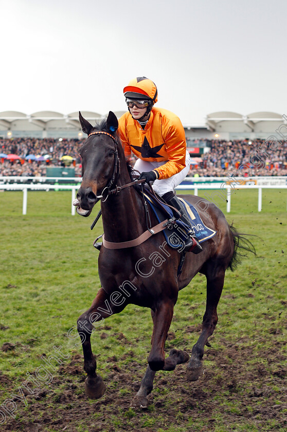 Tea-For-Two-0002 
 TEA FOR TWO (Lizzie Kelly) Cheltenham 16 Mar 2018 - Pic Steven Cargill / Racingfotos.com