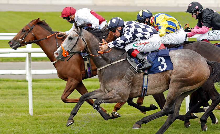 Aramis-Grey-0002 
 ARAMIS GREY (nearside, Shane Kelly) beats AL MANSOURA (farside) in The Betway Casino Handicap
Lingfield 7 Sep 2020 - Pic Steven Cargill / Racingfotos.com