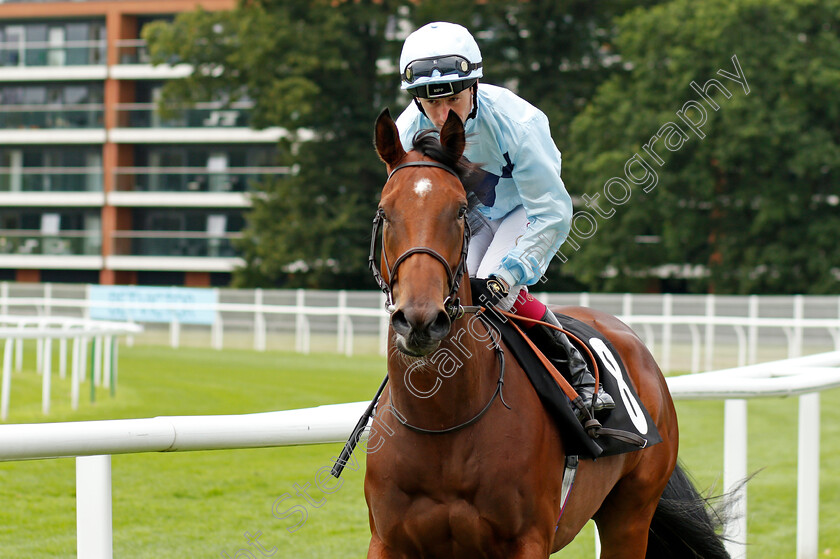 Kindness-0001 
 KINDNESS (Oisin Murphy)
Newbury 13 Aug 2021 - Pic Steven Cargill / Racingfotos.com