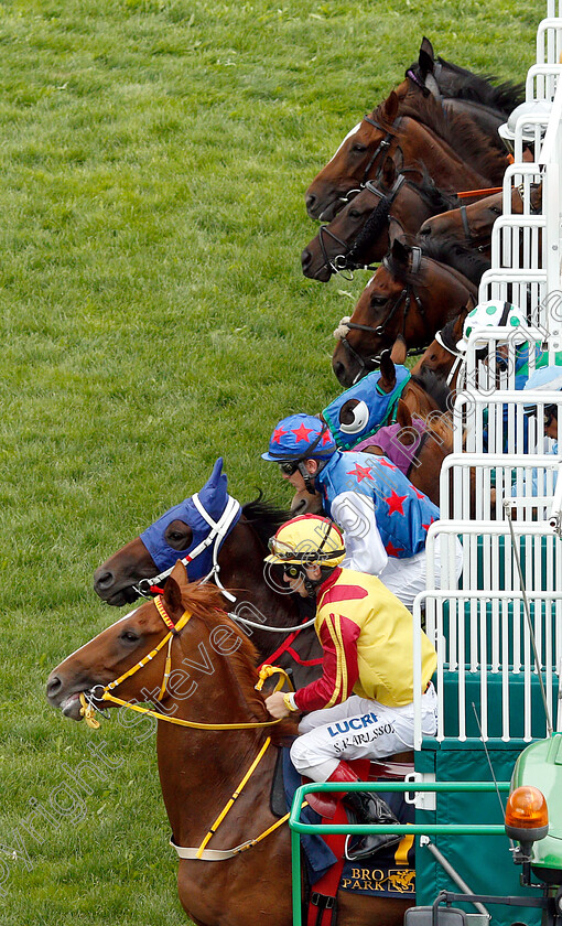 Bro-Park-0004 
 Horses break from the stalls 
Bro Park Sweden 5 Aug 2018 - Pic Steven Cargill / Racingfotos.com